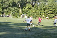 IMG 4816