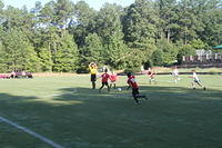 IMG 4817