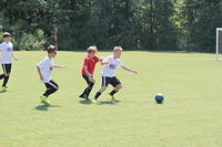 IMG 5425