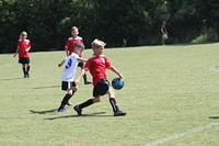 IMG 5429